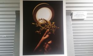 Photo exhibition Prize