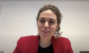 Cities: institution or lobby in the European Union?