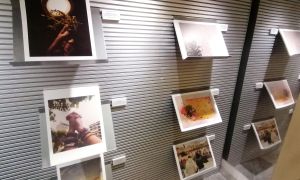 Photo exhibition Prize