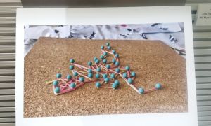 Photo exhibition Prize