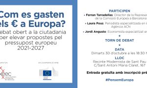 How euros are spent in Europe?